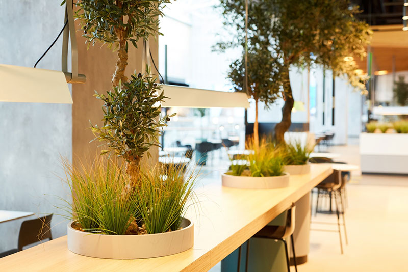 Faites appel à Richy Paysage pour la création et l'installation de mur végétalisés dans vos hôtels, bureaux, restaurants