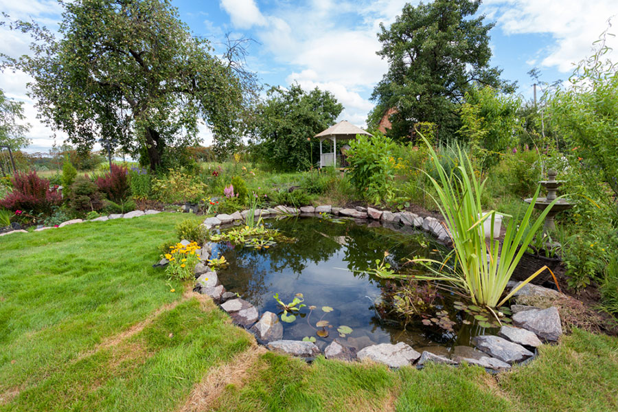 Aménagement de jardin extérieur et création de bassin aquatique ou bassin à poisson