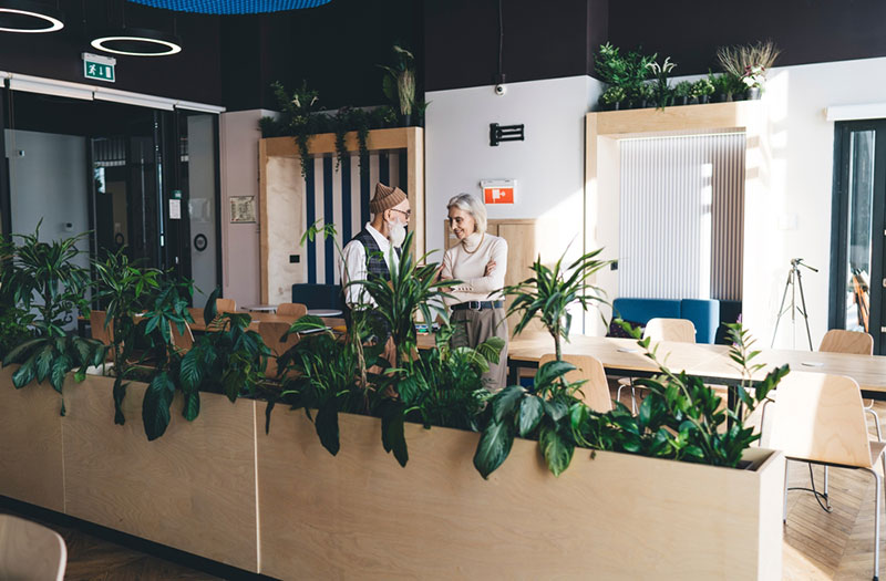 Végétalisation intérieur et bureaux pour les entreprises