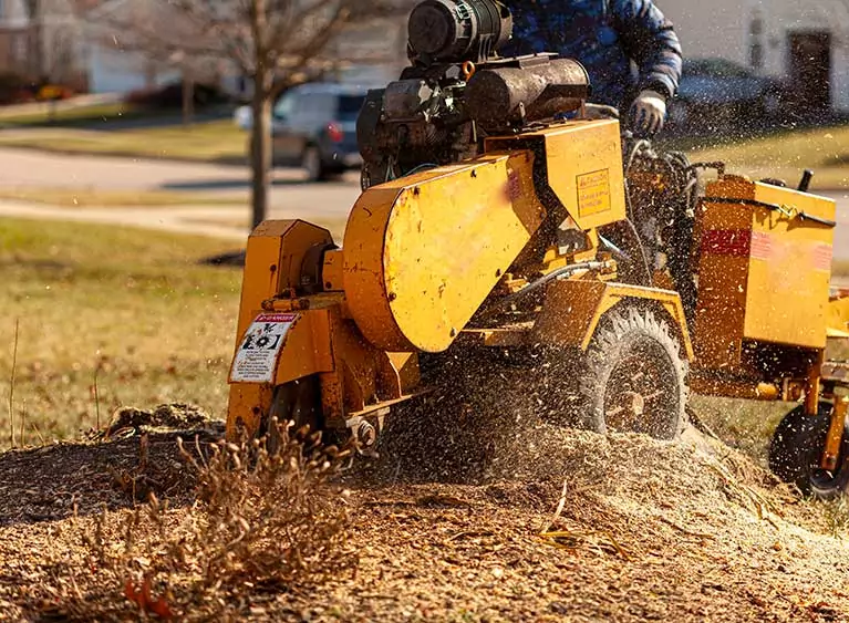 Entreprise spécialisée dans le Dessouchage d'arbres dans le Val-d'Oise et Île-de-France