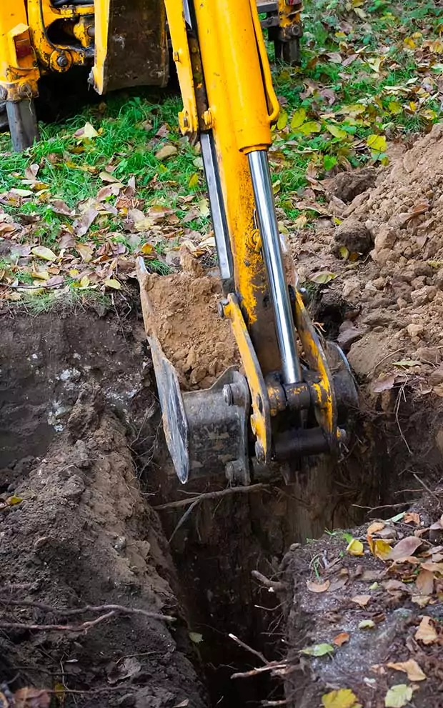Entreprise spécialisée dans le Dessouchage d'Arbres dans le Val-d'Oise et Île-de-France