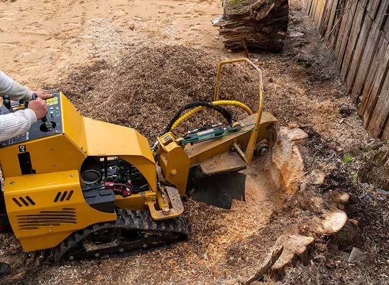 Paysagiste et Entreprise spécialisée dans le Dessouchage d'arbres dans le Val-d'Oise