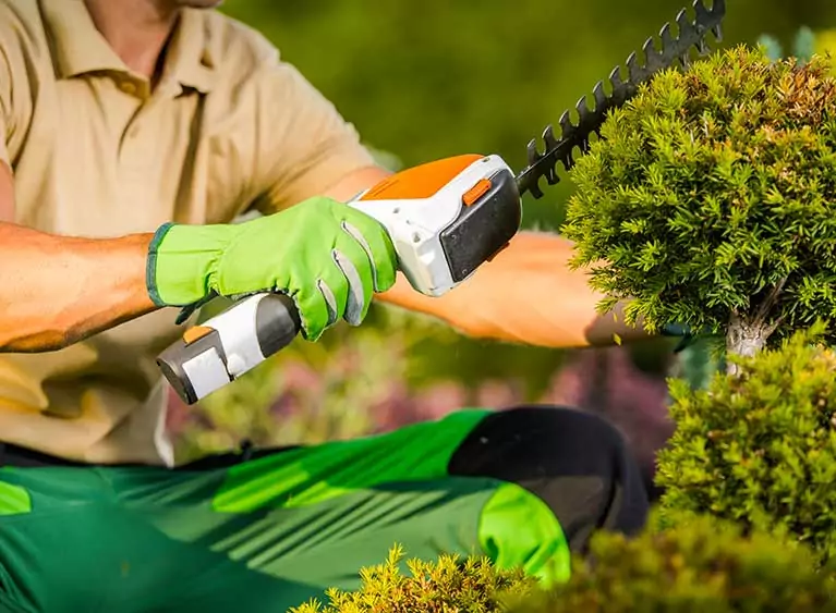 Entretien de jardins et d'espaces verts à Soisy Sous Montmorency et alentours (95)