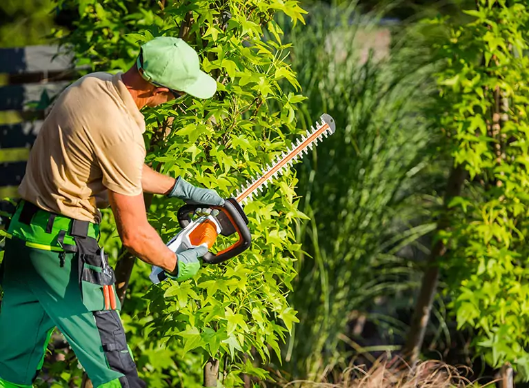 Entreprise de jardinier paysagiste dans le Val-d'Oise 95 - des professionnels pour la taille de haies
