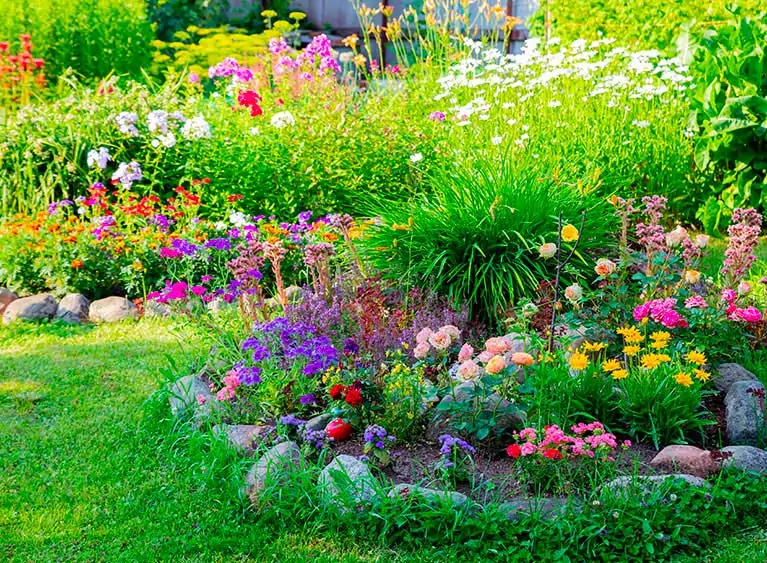Entreprise de jardinier paysagiste dans le Val-d'Oise 95 - Plantation de Haies et de végétaux dans le Val-d'Oise et Ile-de-France