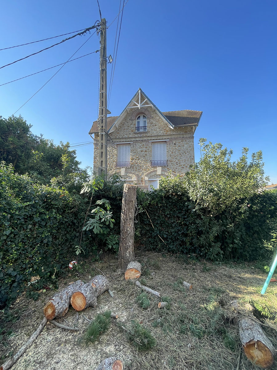 Devis abattage arbres Val d'Oise image 2