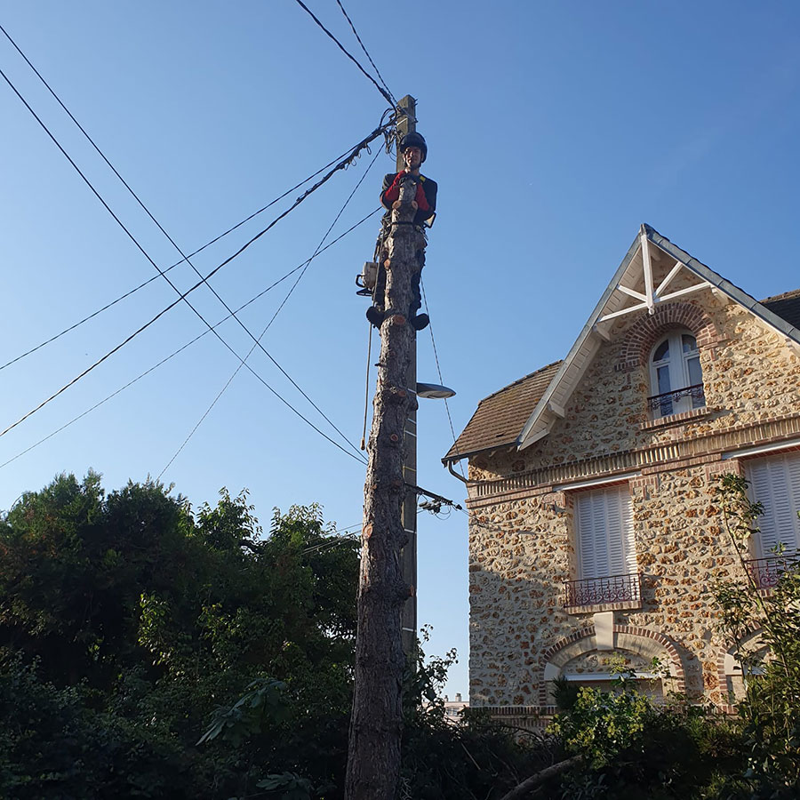 Abattage d'arbres en Ile-de-France - Démontage d'arbres pour plus de sécurité