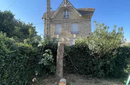 Abattage 95 - Faire abattre un arbre