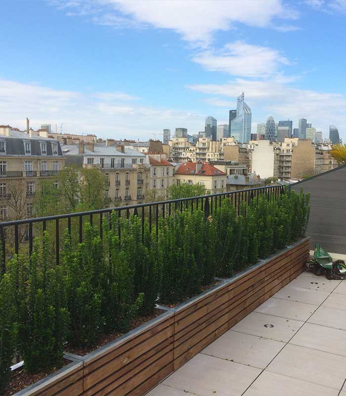 Am&eacute;nagement paysager terrasse Paris 75 image 2