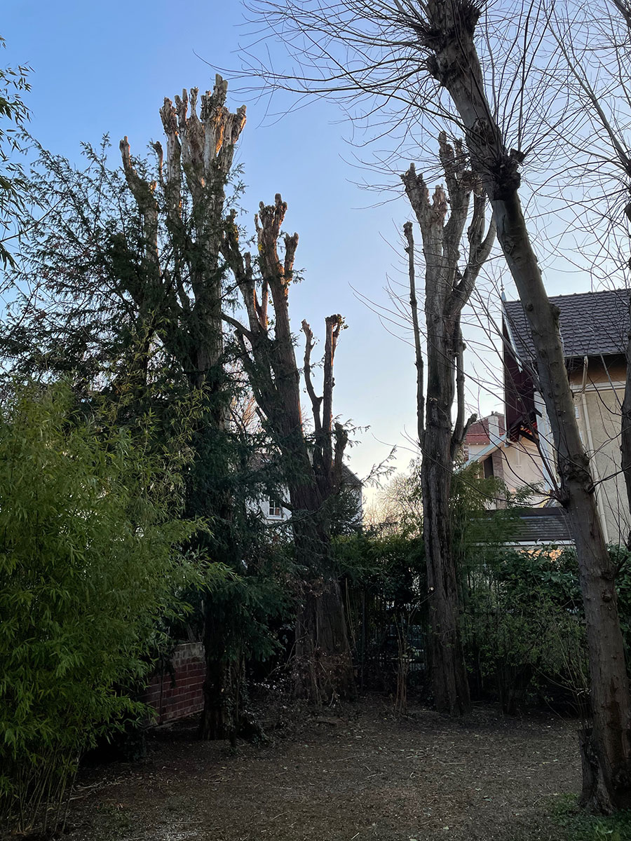 &Eacute;lagage abattage &agrave; Enghien-les-Bains image 2