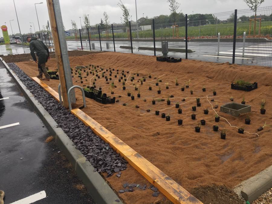 Am&eacute;nagement entretien espaces verts Grand frais 91 image 5