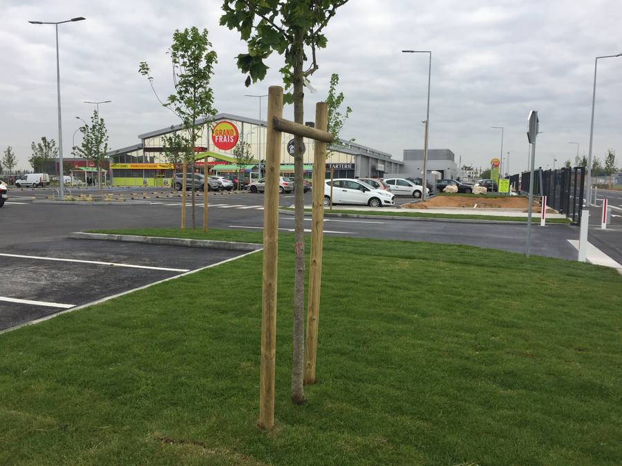 Am&eacute;nagement entretien espaces verts Grand frais 91 image 6