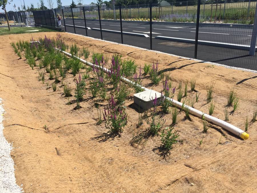 Am&eacute;nagement entretien espaces verts Grand frais 91 image 9