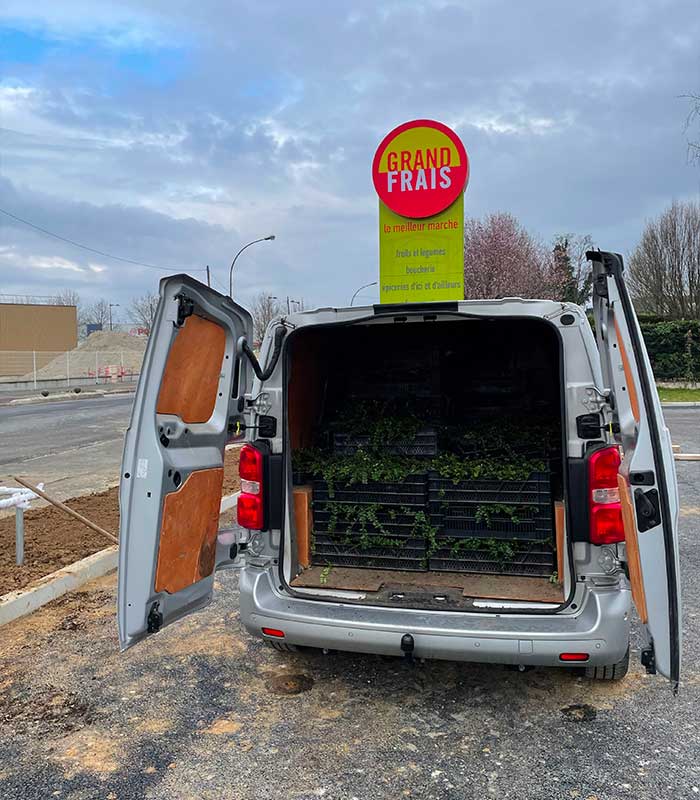 Am&eacute;nagement entretien espaces verts Grand frais 91 image 4