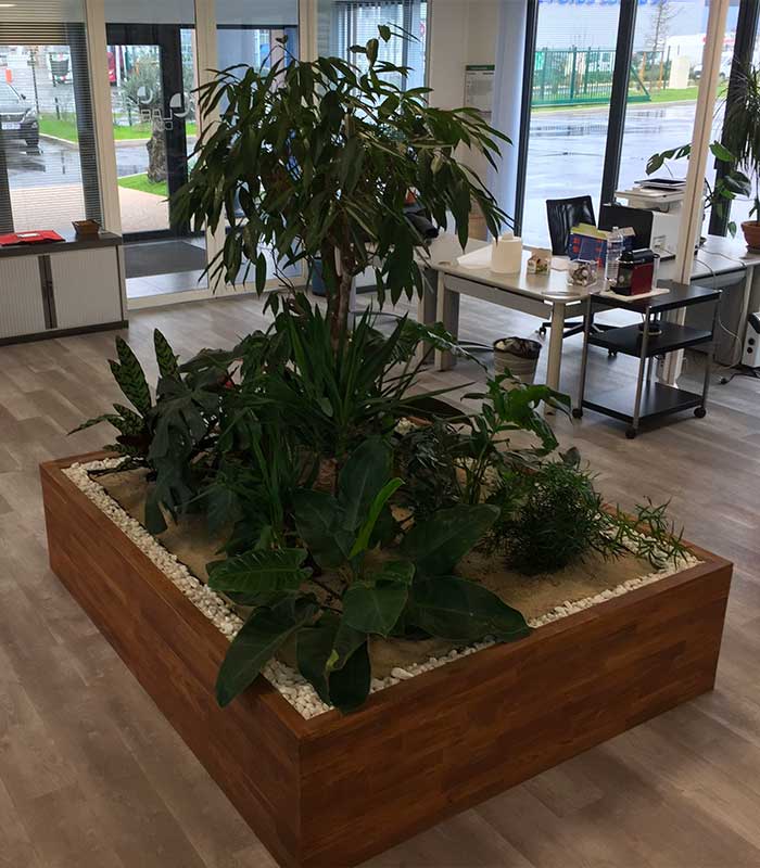 Paysagiste d'int&eacute;rieur pour entreprises image 2