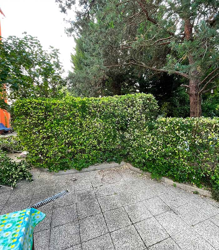 Tailles de haies et arbustes dans le 95 image 4
