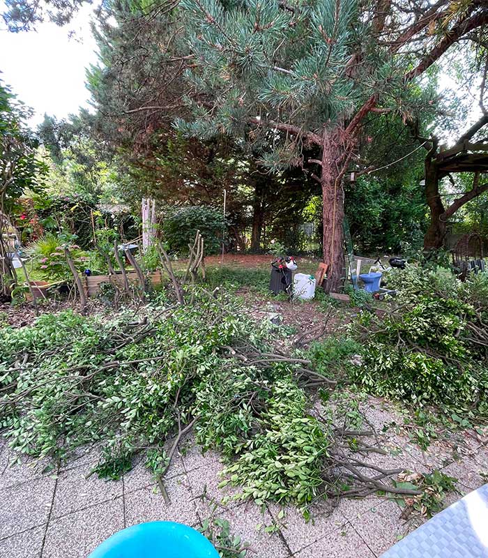 Tailles de haies et arbustes dans le 95 image 3